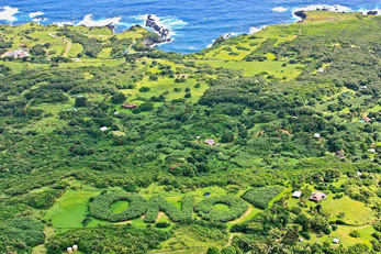 Ono Farms in Kipahulu Maui Hawaii