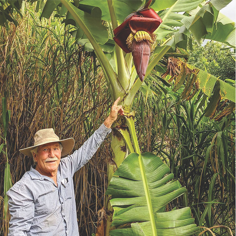 ONO Organic Farms, Maui, Hawaii - Tropical Fruit, Coffee, Local